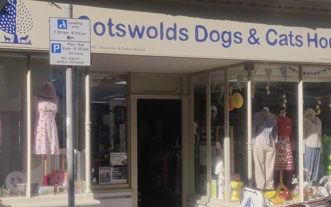 Cotswolds Dogs & Cats Home Stroud